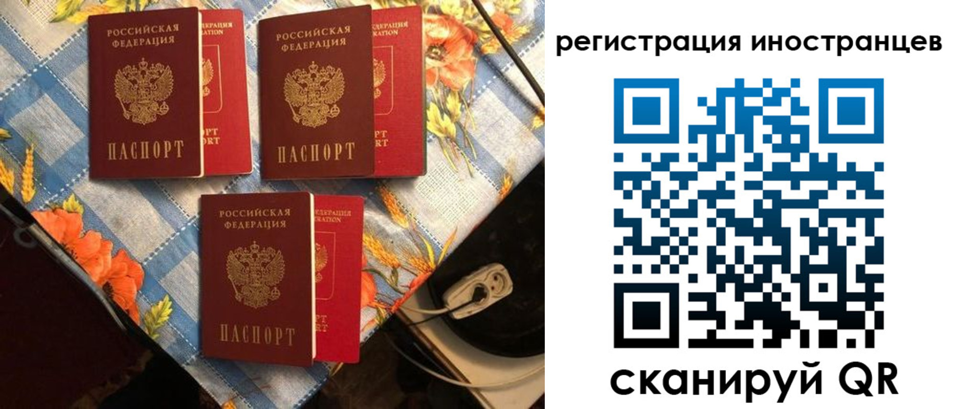 прописка поиск в Светогорске