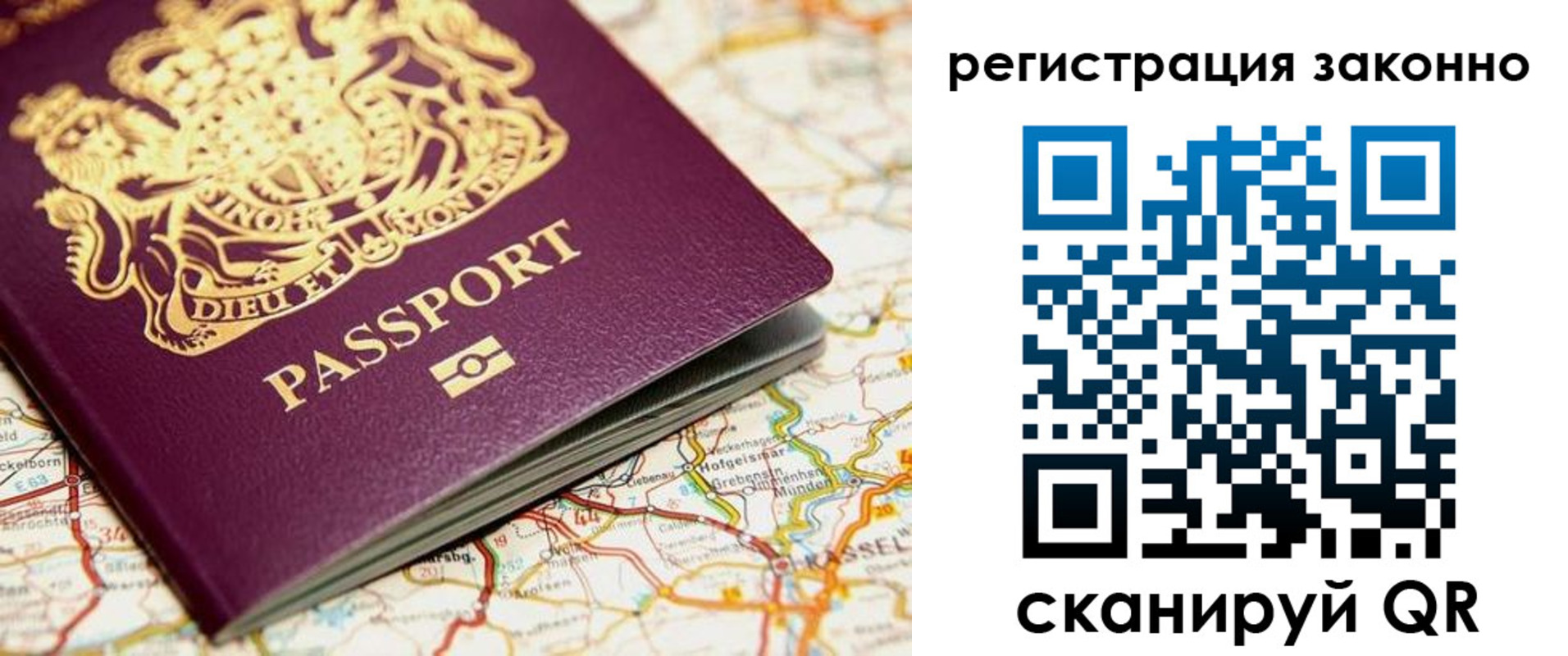 прописка поиск в Светогорске